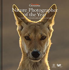 Book cover with portrait of a Dingo.