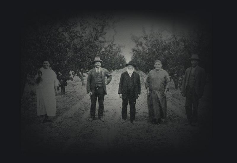 Five people standing in an orchard. 