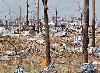 Corrugated steel scattered amongst trees stripped of foliage.