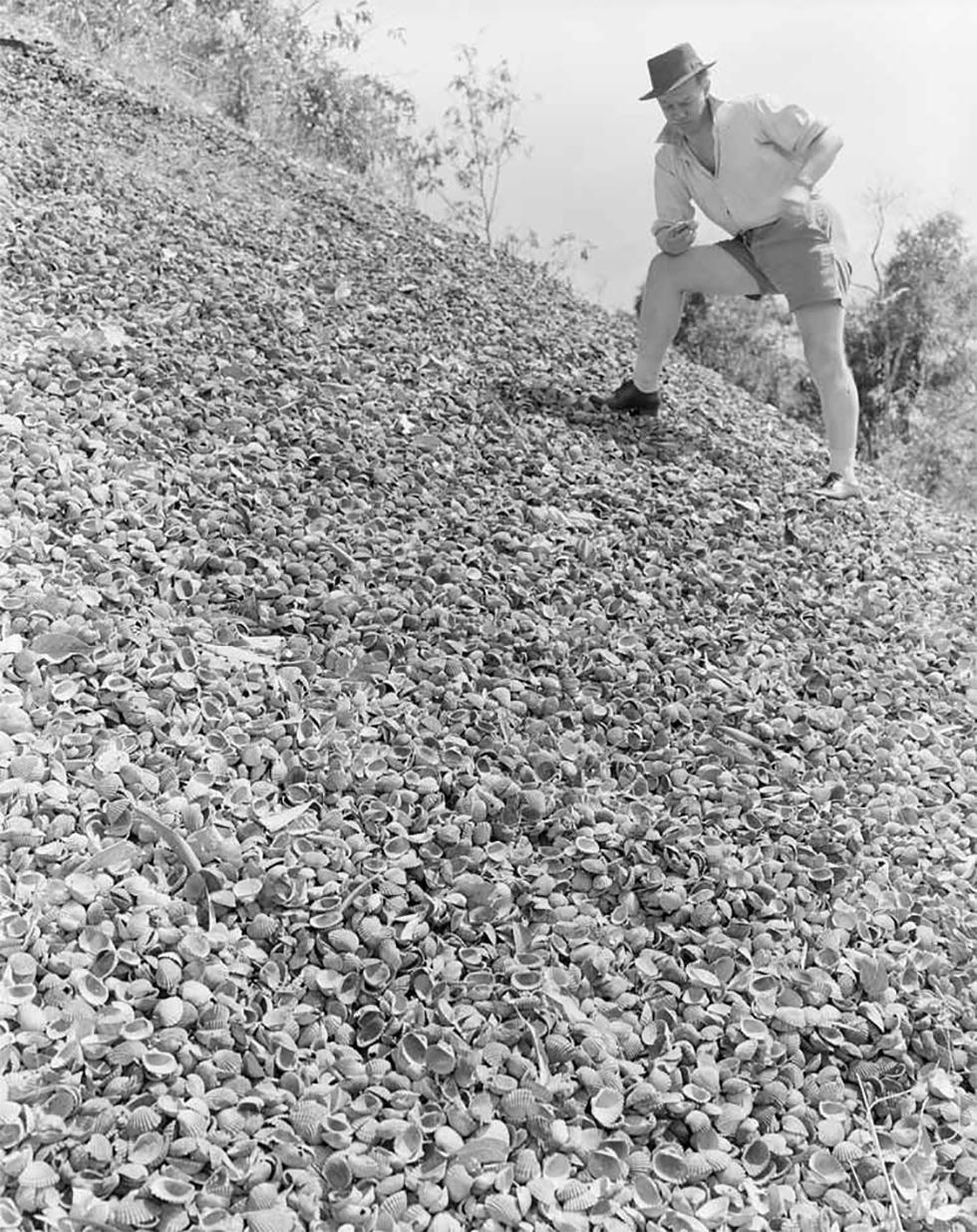 Archaeological shell midden at Weipa