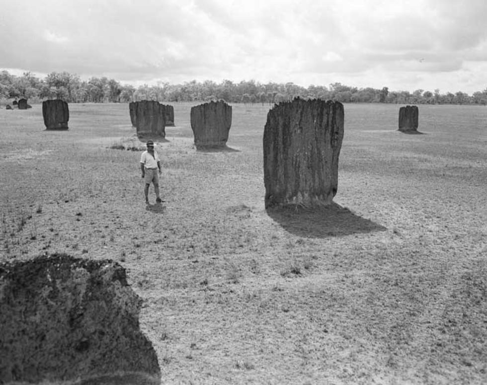 Magnetic termite structures in the Northern Territory.