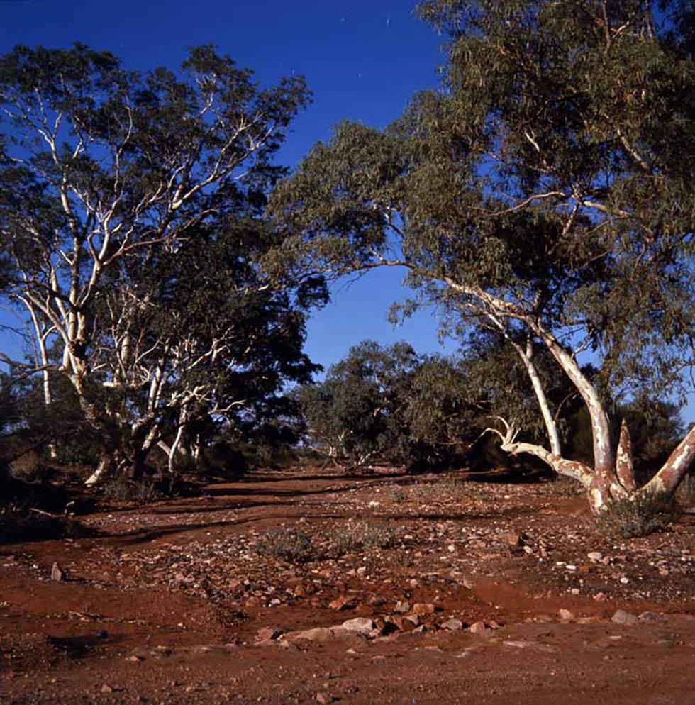 Poison Creek, south of Agnew, Western Australia.