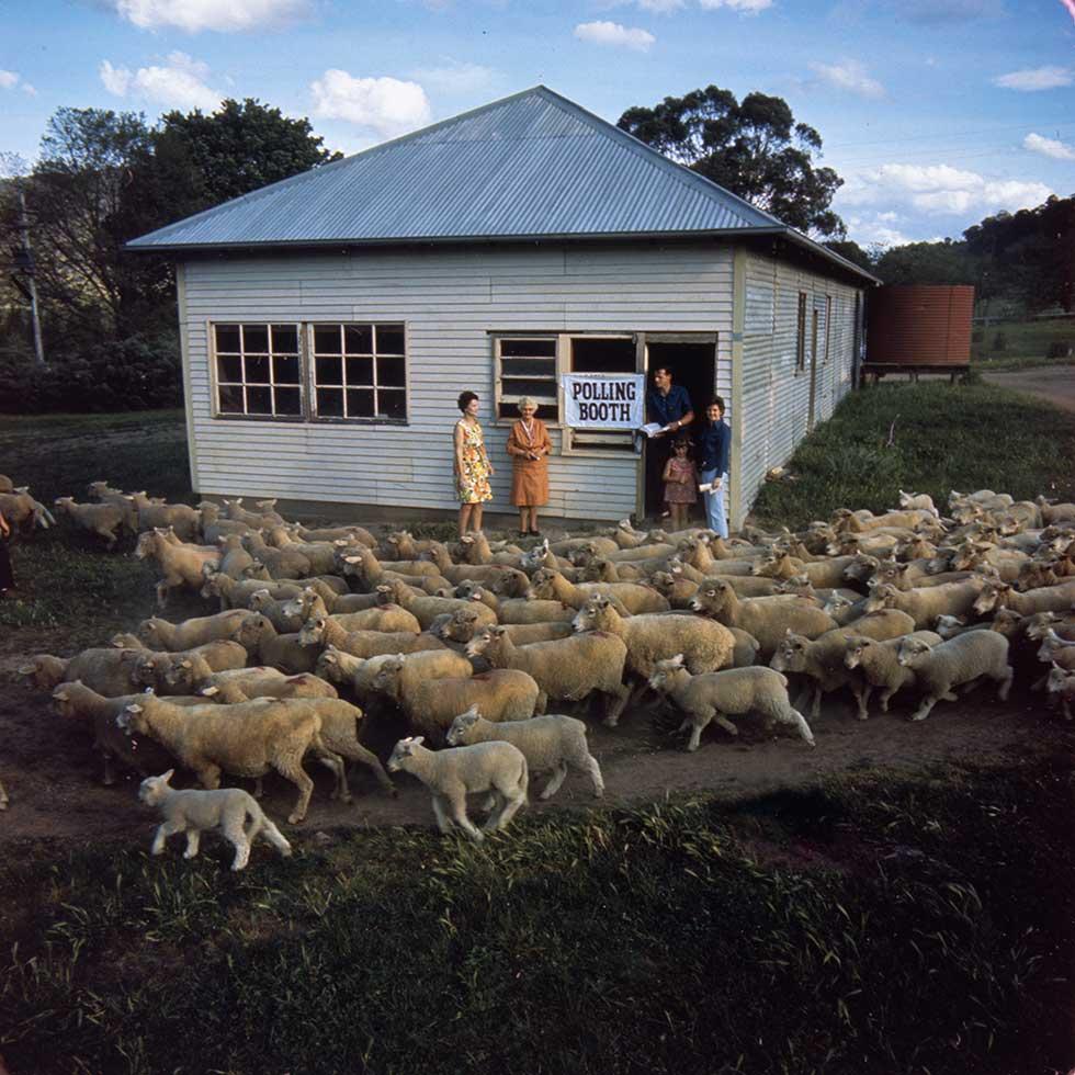 Five people standing near the doorway of a timber hall with a flock of sheep and lambs in the foreground.