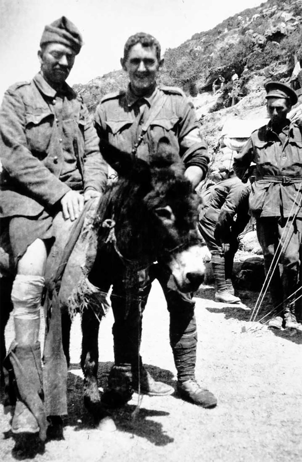 Private Simpson and his donkey at Gallipoli | naa.gov.au