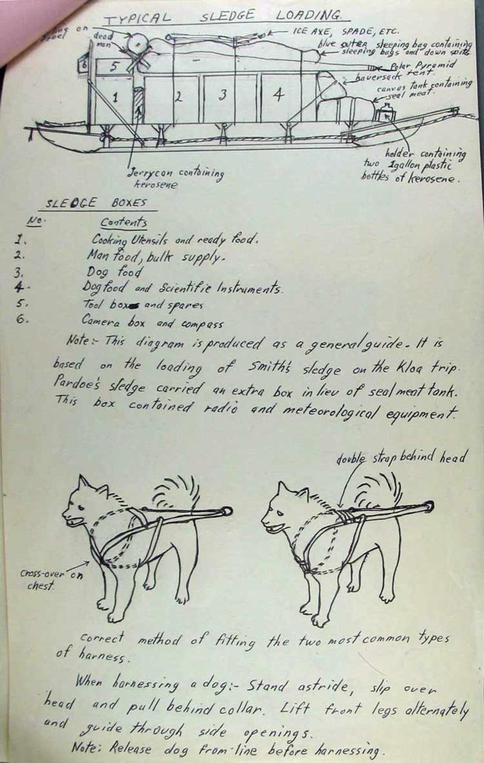 Dog report – Mawson Station