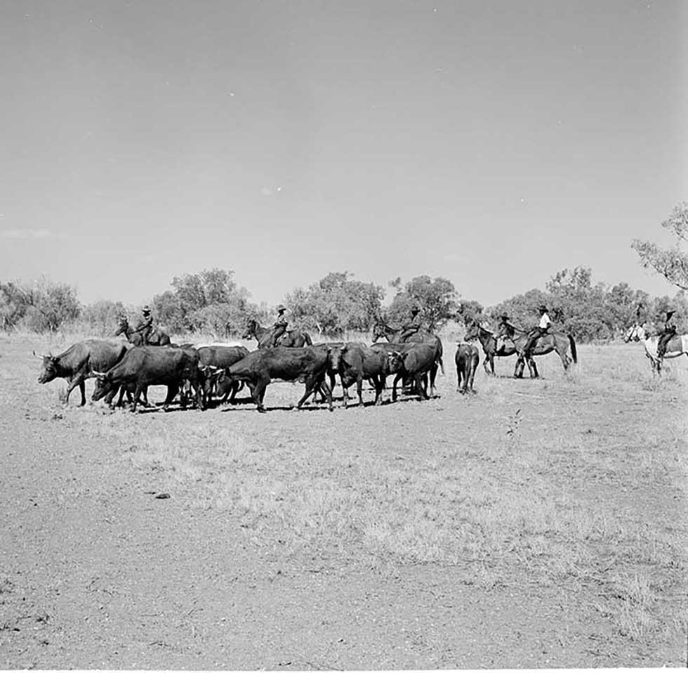 Aboriginal stockmen at Wave Hill cattle station, Northern Territory.