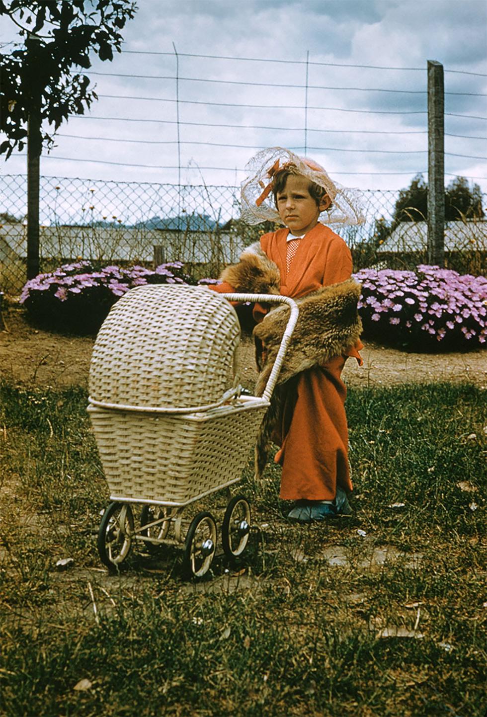 A child playing dress-up and pushing a cane pram, behind the child are pink daisy bushes and a tall wire fence.