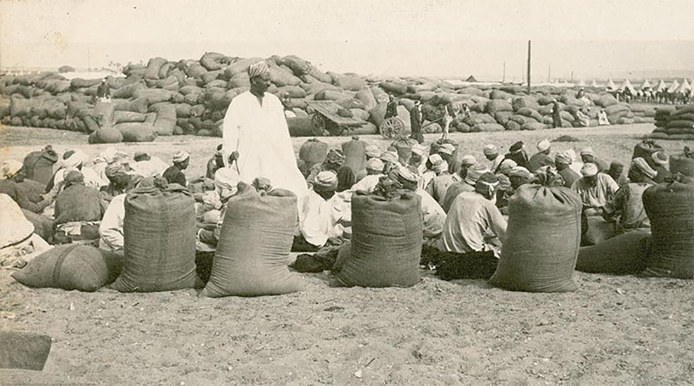 Egyptians crushing barley to feed the many horses that had accompanied the Anzacs to Mena, near Cairo, in late 1914.