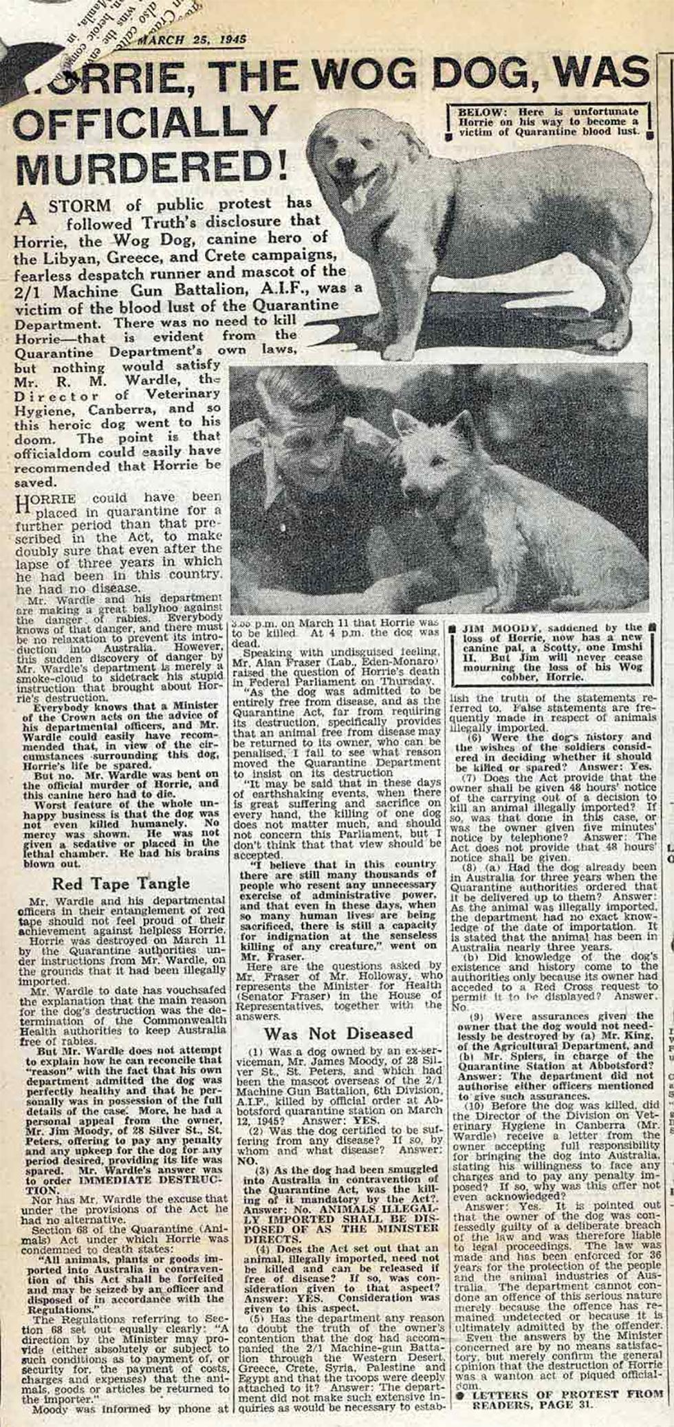 A newspaper article regarding the death of a dog smuggled into Australia.