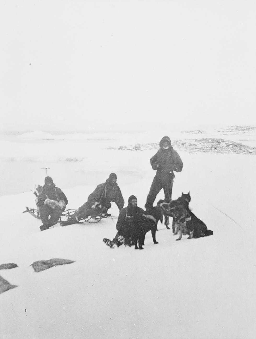 Sledging practice, Cape Denison.