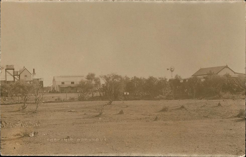 Buildings and trees