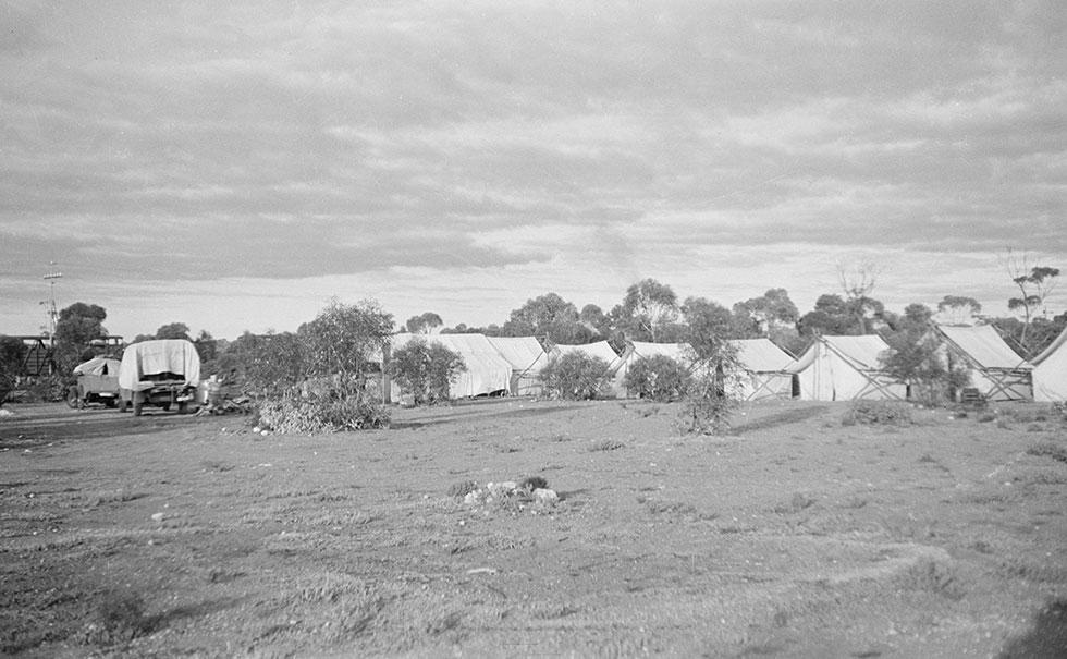 A row of canvas tents on cleared scrub. with 2 trucks and a telegraph pole. Eucalypts in the background.