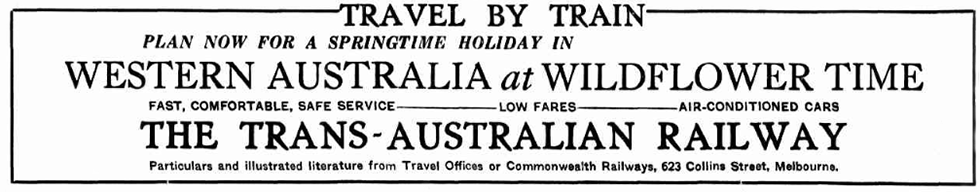 Travel by train. Plan now for a springtime holiday in Western Australia at Wildflower time. Fast, comfortable, safe service, low fares, airconditioned cars – The Trans-Australian Railway. Particulars and illustrated literature from Travel Offices or Commonwealth Railways, 623 Collins Street, Melbourne.