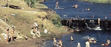 Brunswick River, Brunswick Junction, Western Australia