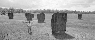 Magnetic termite structures in the Northern Territory.