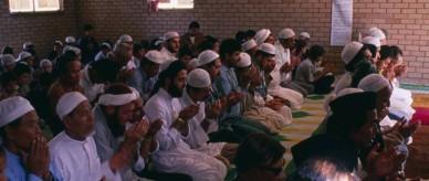 Members of the Perth Islamic community at prayer.