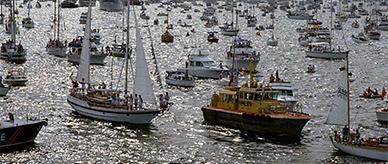 Tall ships in Sydney Harbour during Australian Bicentenary celebrations.