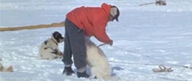 A video of glaciologists on an expedition from Mawson Station, Antarctica.