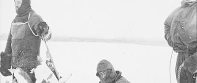 Black-and-white photograph of Dr Xavier Mertz, John Hunter and Lieutenant Belgrave Ninnis collecting Adélie Penguins. 