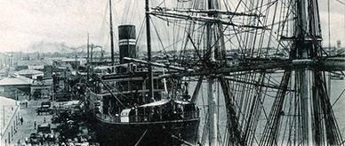 Collotype postcard engraved from original photograph of a ship docked at Port Adelaide.