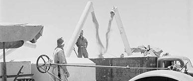 Wheat harvesting in Wimmera, Victoria.