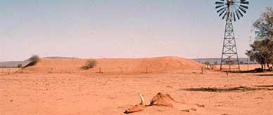 Skeletal remains of a cow on red dirt, in front of a windmill, barbed wire fence, and earth mound. 