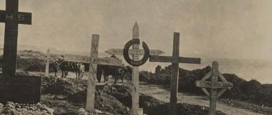 Timber crosses at Gallipoli. 