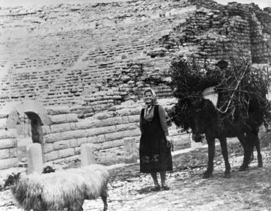 Vassiliki leading a donkey loaded with firewood, by a low brick wall. 