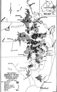 Map showing the spread of Prickly Pear in New South Wales and Queensland.