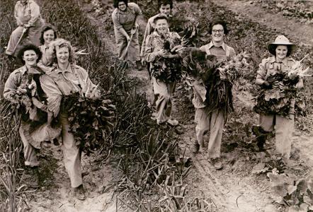 Women dressed in overalls harvesting vegetables.