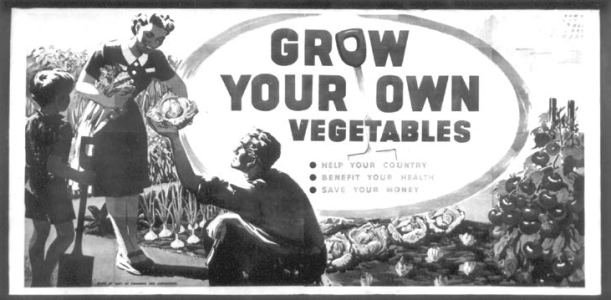 A family in a vegetable garden. A man handing a woman a cabbage and a boy standing with a spade.