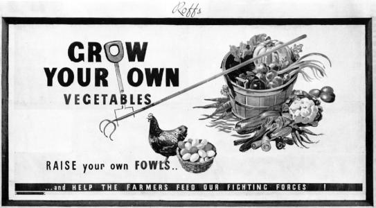 Advertisement: Grow your own vegetables, raise your own fowl, featuring a hen, a basket of eggs, a barrel of vegetables, a garden fork and rake.