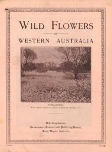 Wild Flowers of Western Australia. with compliments, Government Tourist and Publicity Bureau, Perth Western Australia. With a picture of a horse-drawn buggy amongst flowers, captioned: Everslastings: When Spring unlocks the flowers to paint the laughing soil.