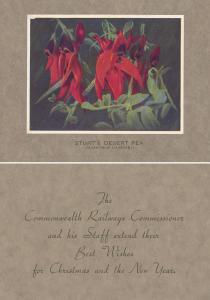 Colour print of Sturt's Desert Pea with Christmas Greeting.